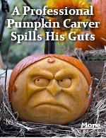 Adam Bierton is allergic to pumpkins, but that doesn�t stop him from carving dozens each fall, the most of intricate of which can cost $5,000.